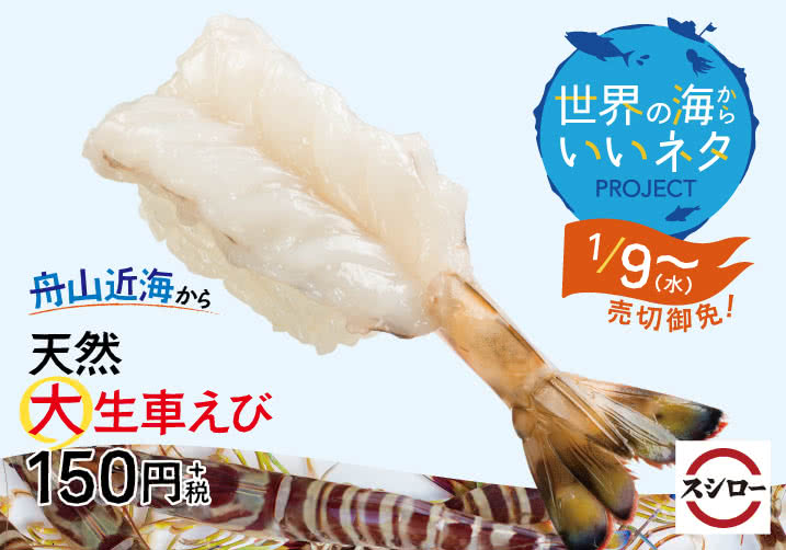 舟山近海から 天然大生車えび 1/9(水)~